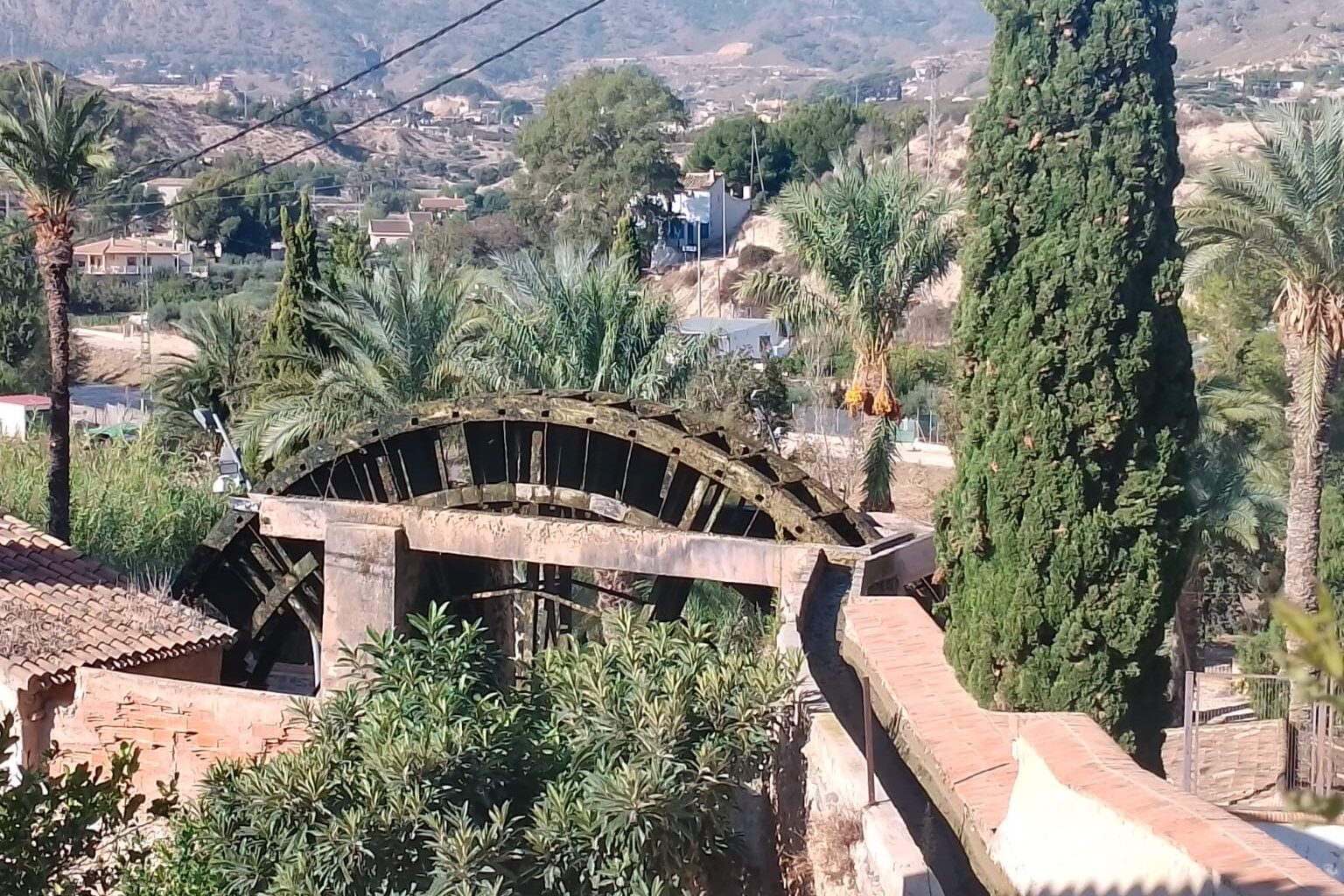 IMG-20241017-WA0007
