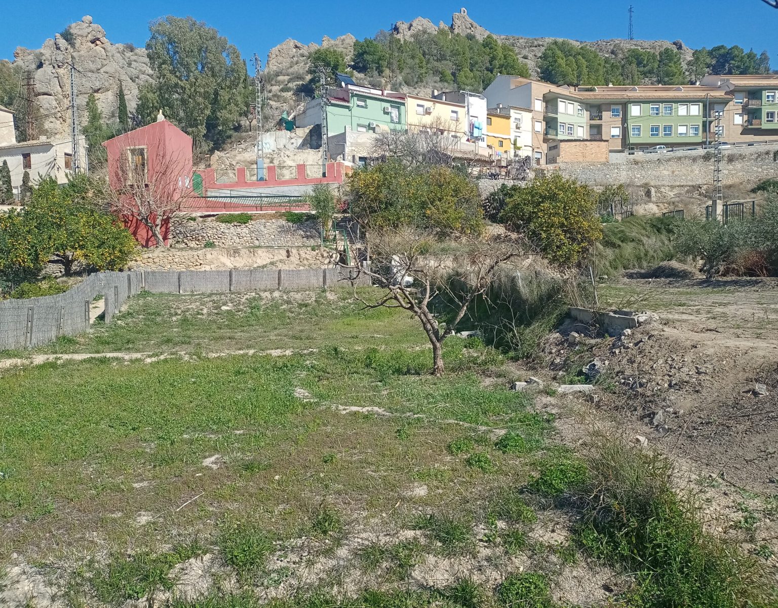 IMG20210219124251